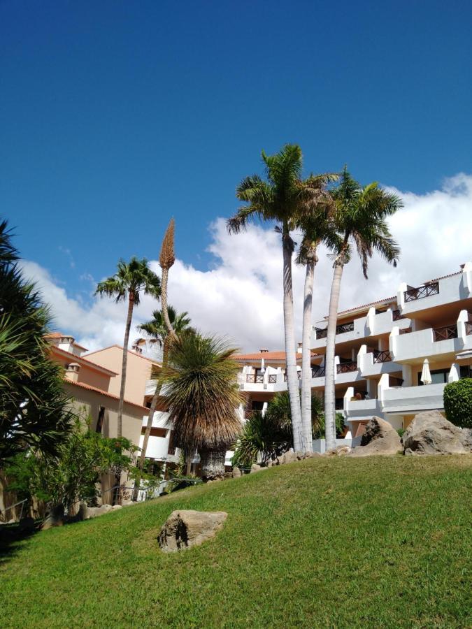 Forest Flat - Big Heated Pool, Terrace, Tv Channels, Golf Courses San Miguel de Abona Dış mekan fotoğraf
