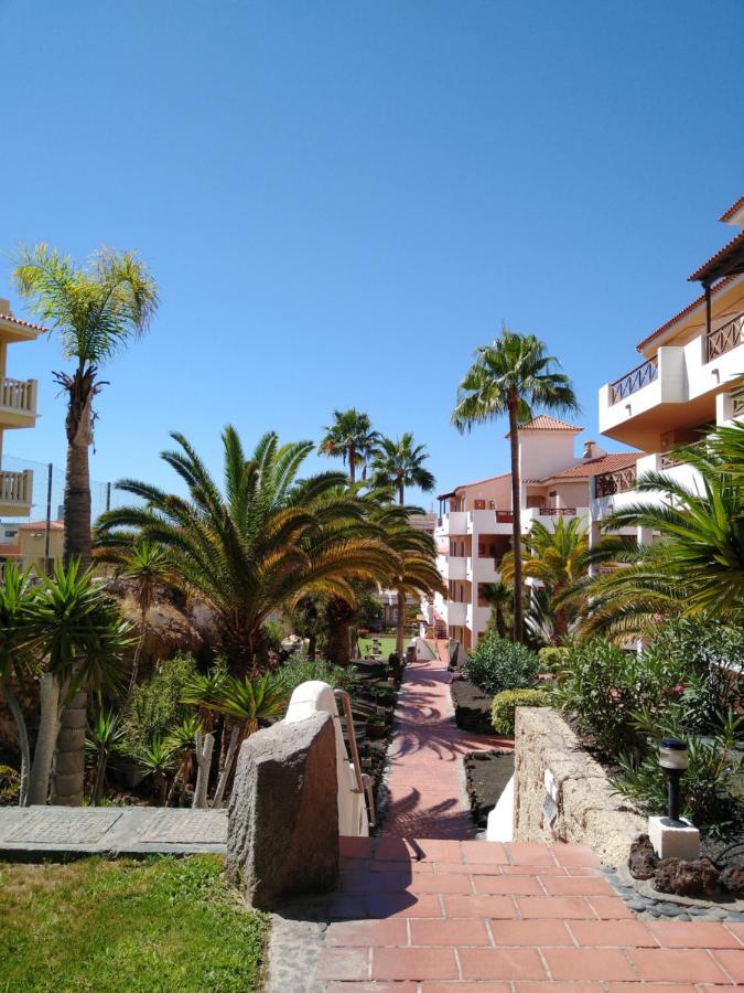 Forest Flat - Big Heated Pool, Terrace, Tv Channels, Golf Courses San Miguel de Abona Dış mekan fotoğraf